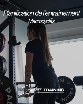 Planification de l’entraînement - Macrocycle